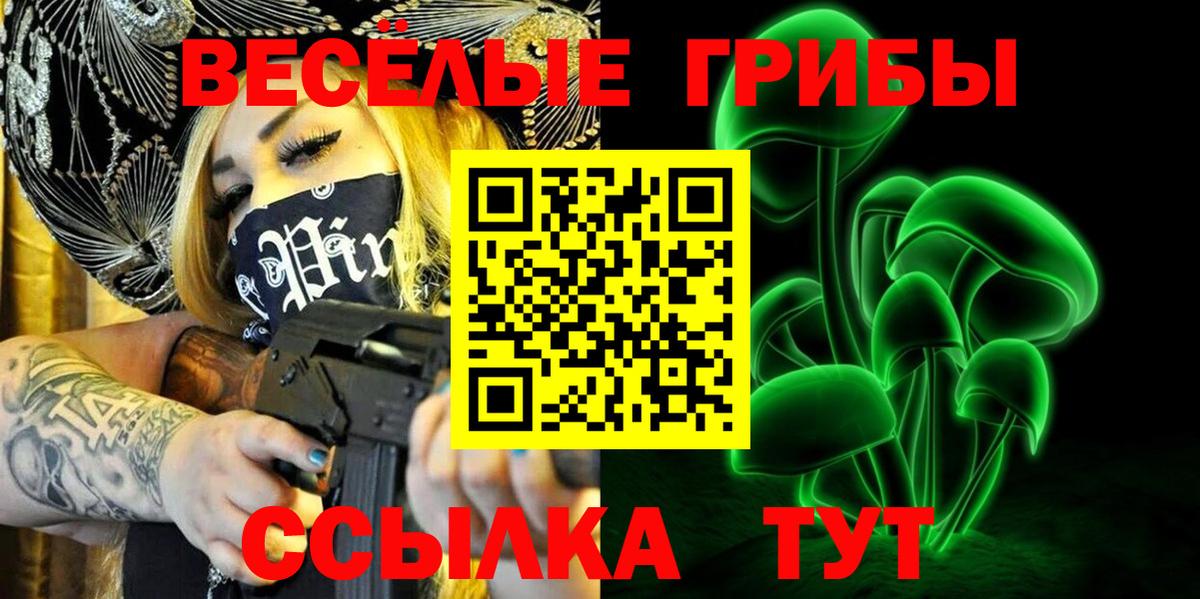Псилоцибиновые грибы Psilocybe Ишимбай