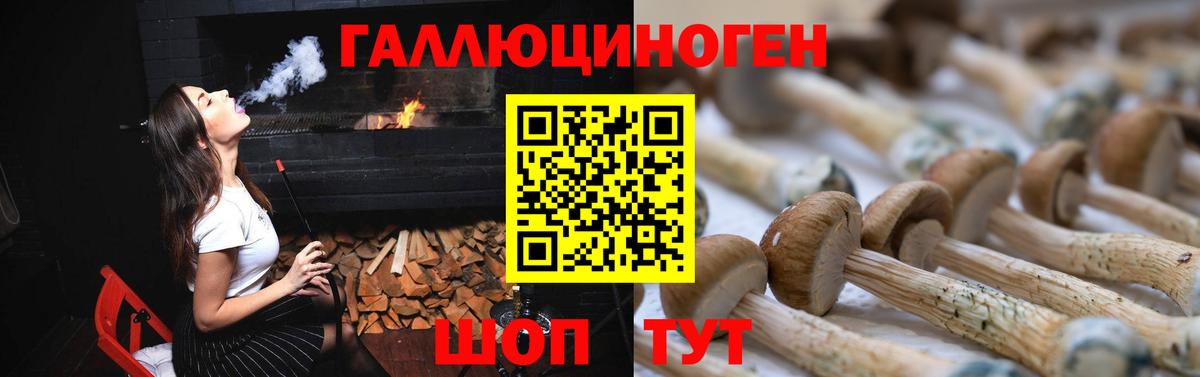 Ишимбай  где найти   Вход с VPN  Псилоцибиновые грибы ЛСД 